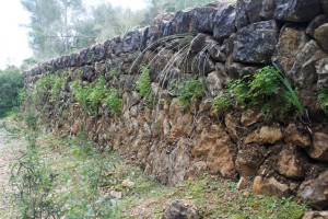_MG_8202 (Medium)